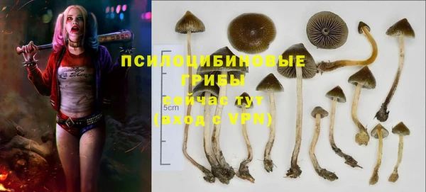 дмт Беломорск