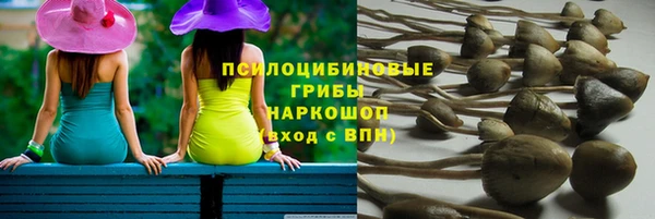 бошки Белокуриха