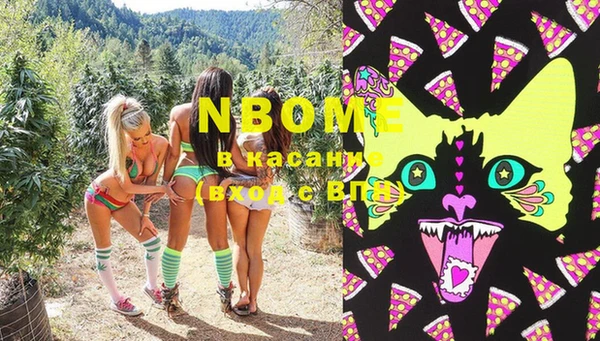 бошки Белокуриха
