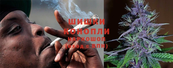 бошки Белокуриха