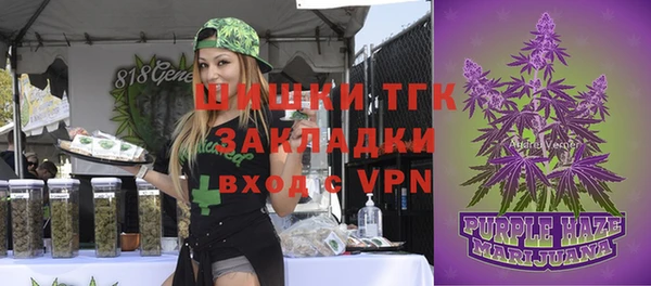 бошки Белокуриха